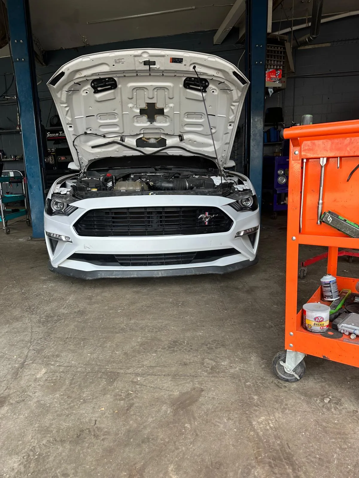 White Ford Mustang positioned in a service bay